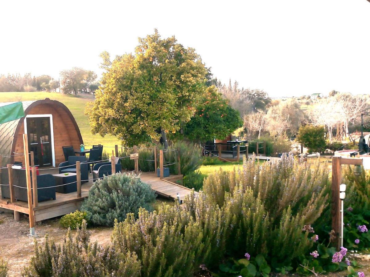 The Gold Pod, Relax And Enjoy On A Glamping House Guest House Corredoura Exterior photo